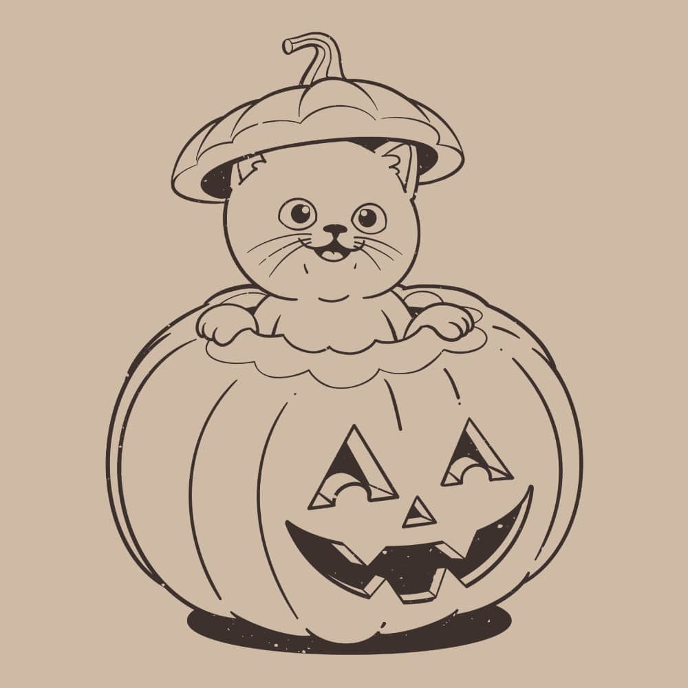 Secondary Product Image