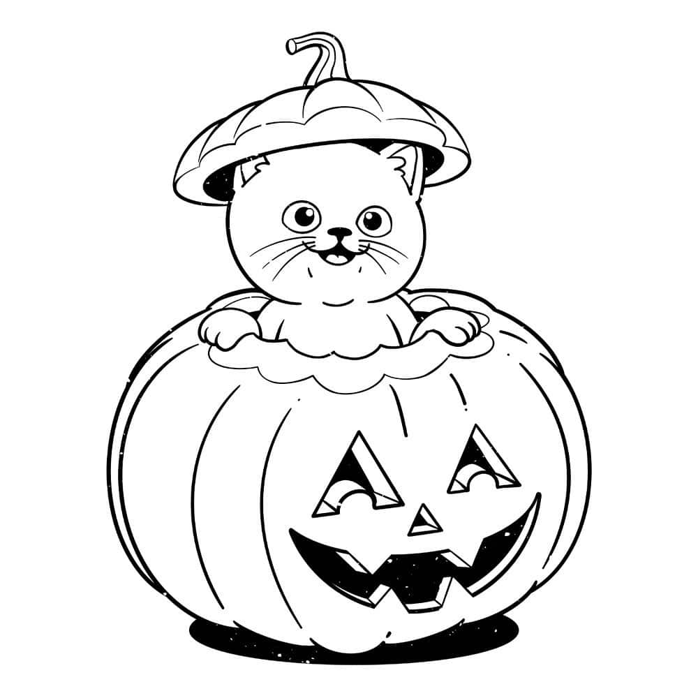 Secondary Product Image