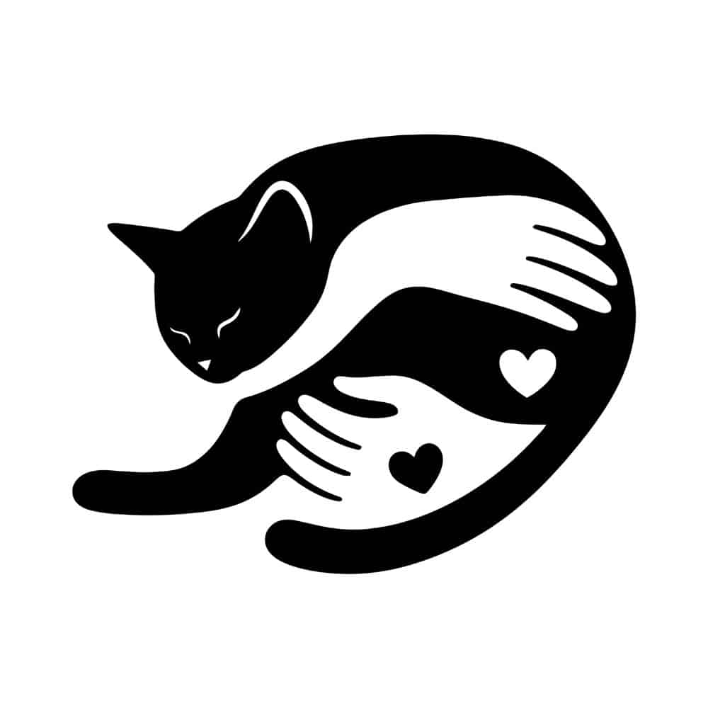 Secondary Product Image