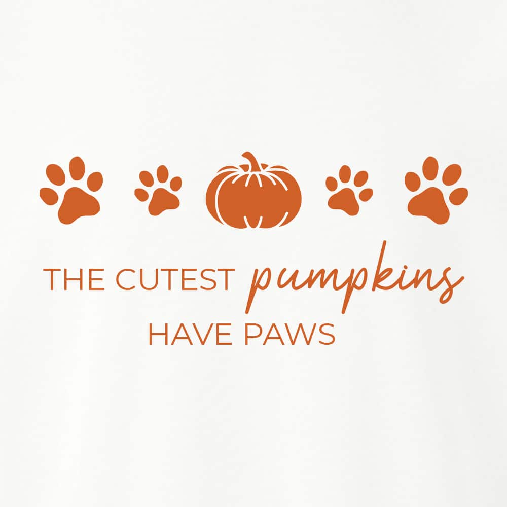 Secondary Product Image