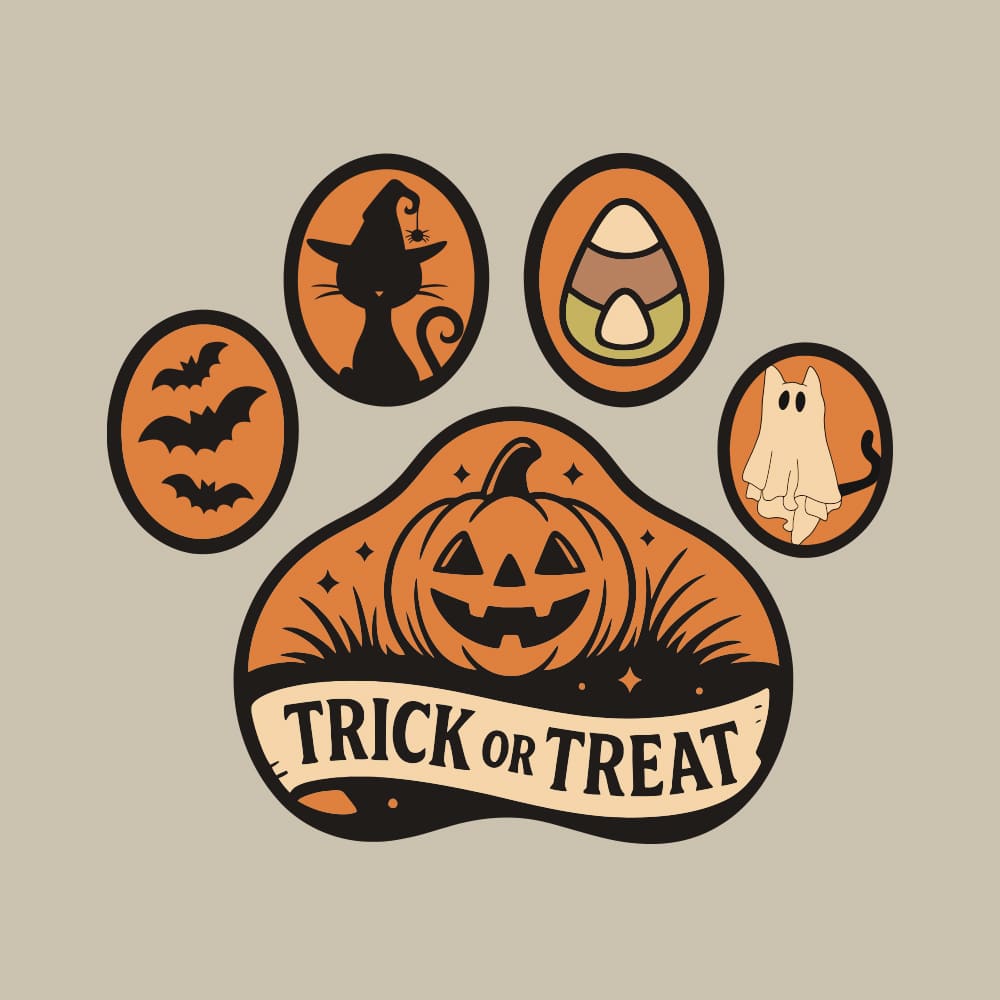 Secondary Product Image