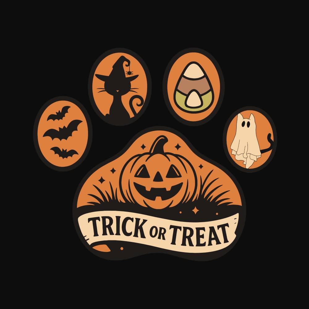 Secondary Product Image