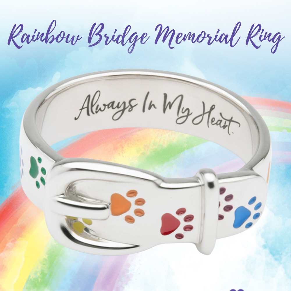 Secondary Product Image