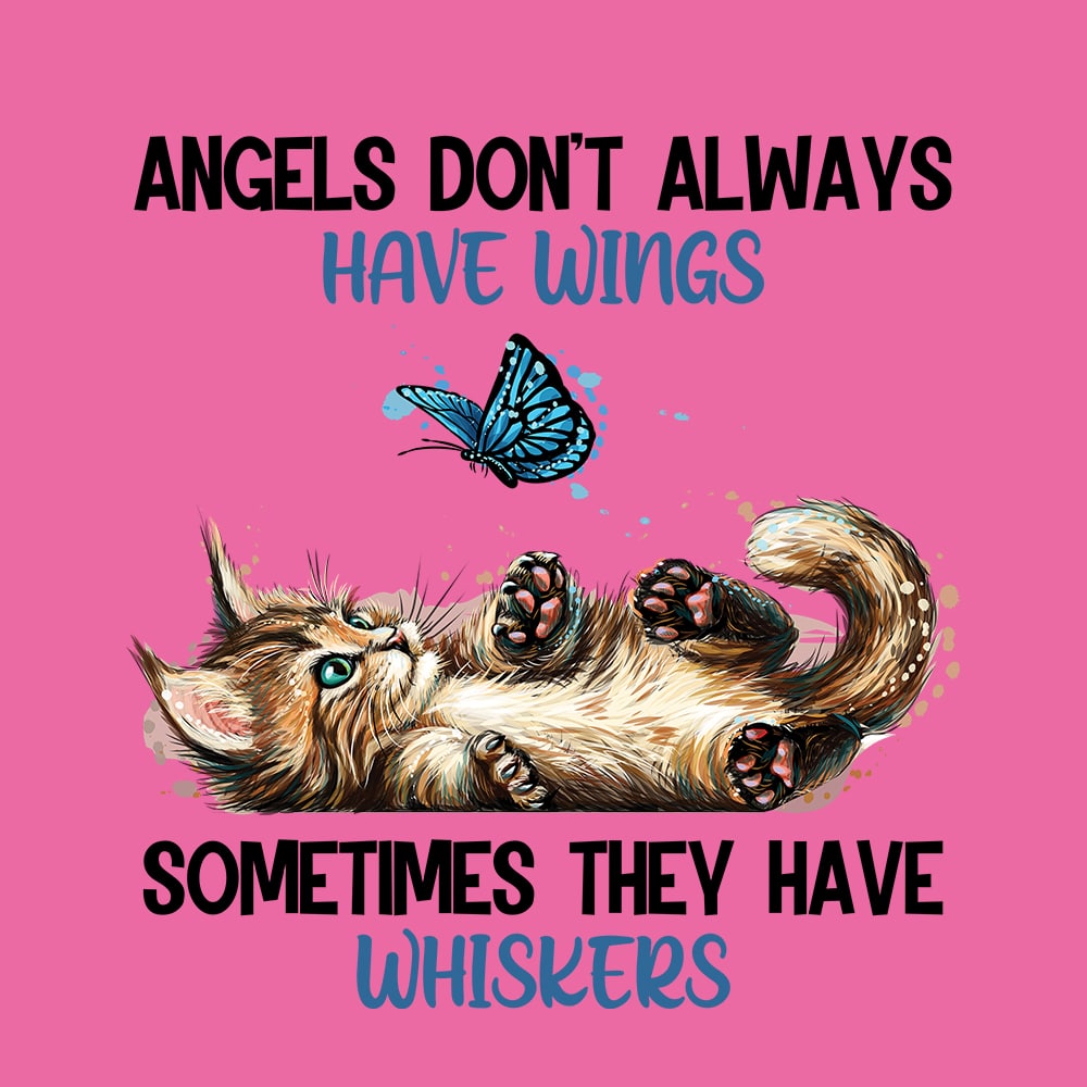 Secondary Product Image