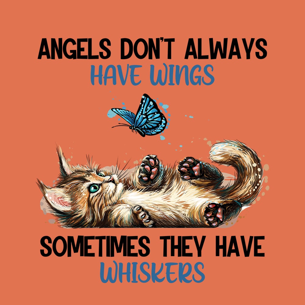 Secondary Product Image