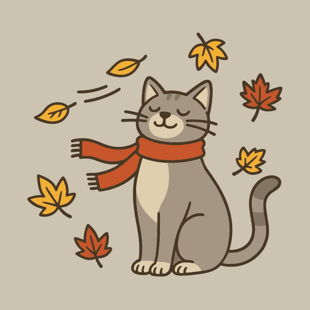 Secondary Product Image