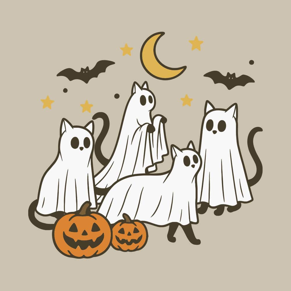 Secondary Product Image