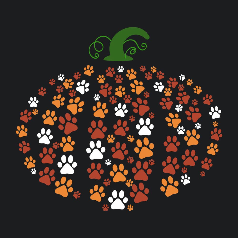 Secondary Product Image