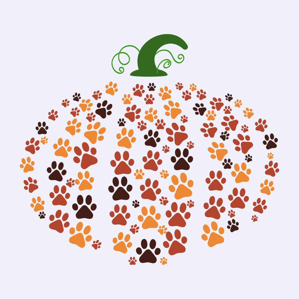 Secondary Product Image