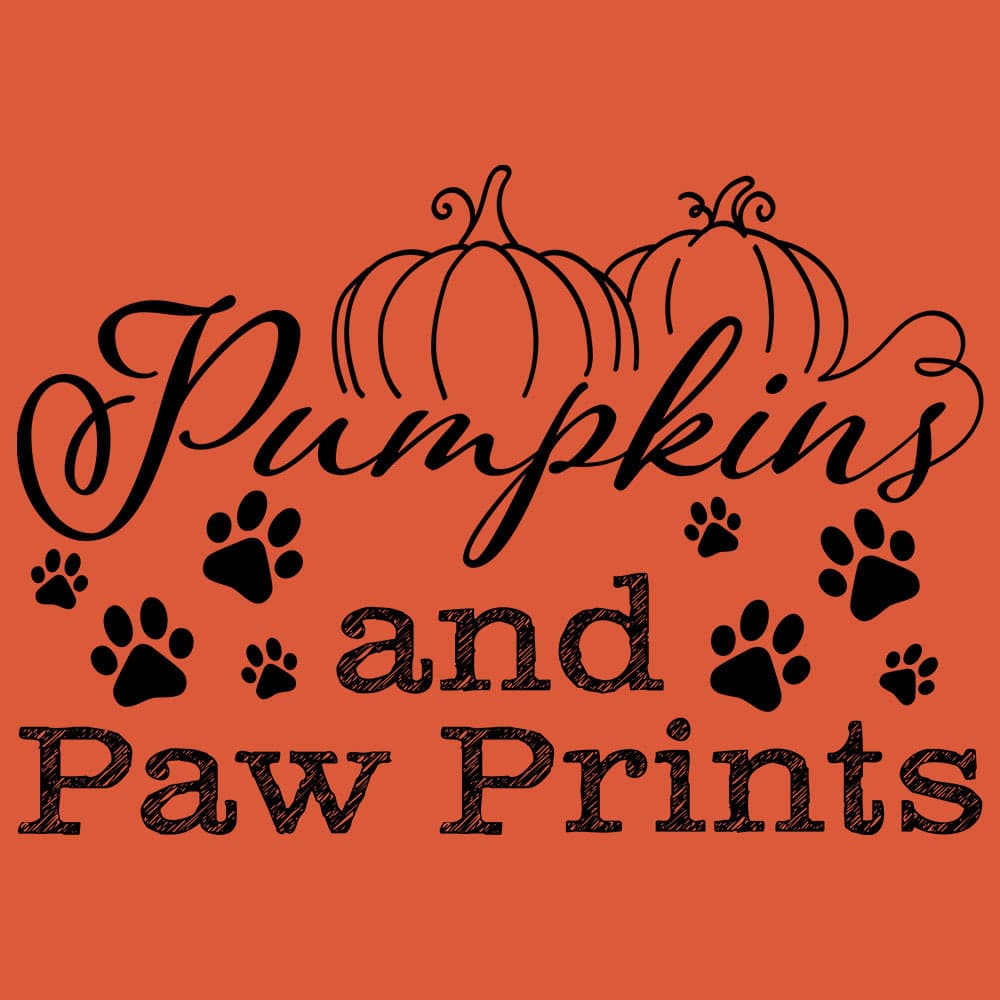 Secondary Product Image