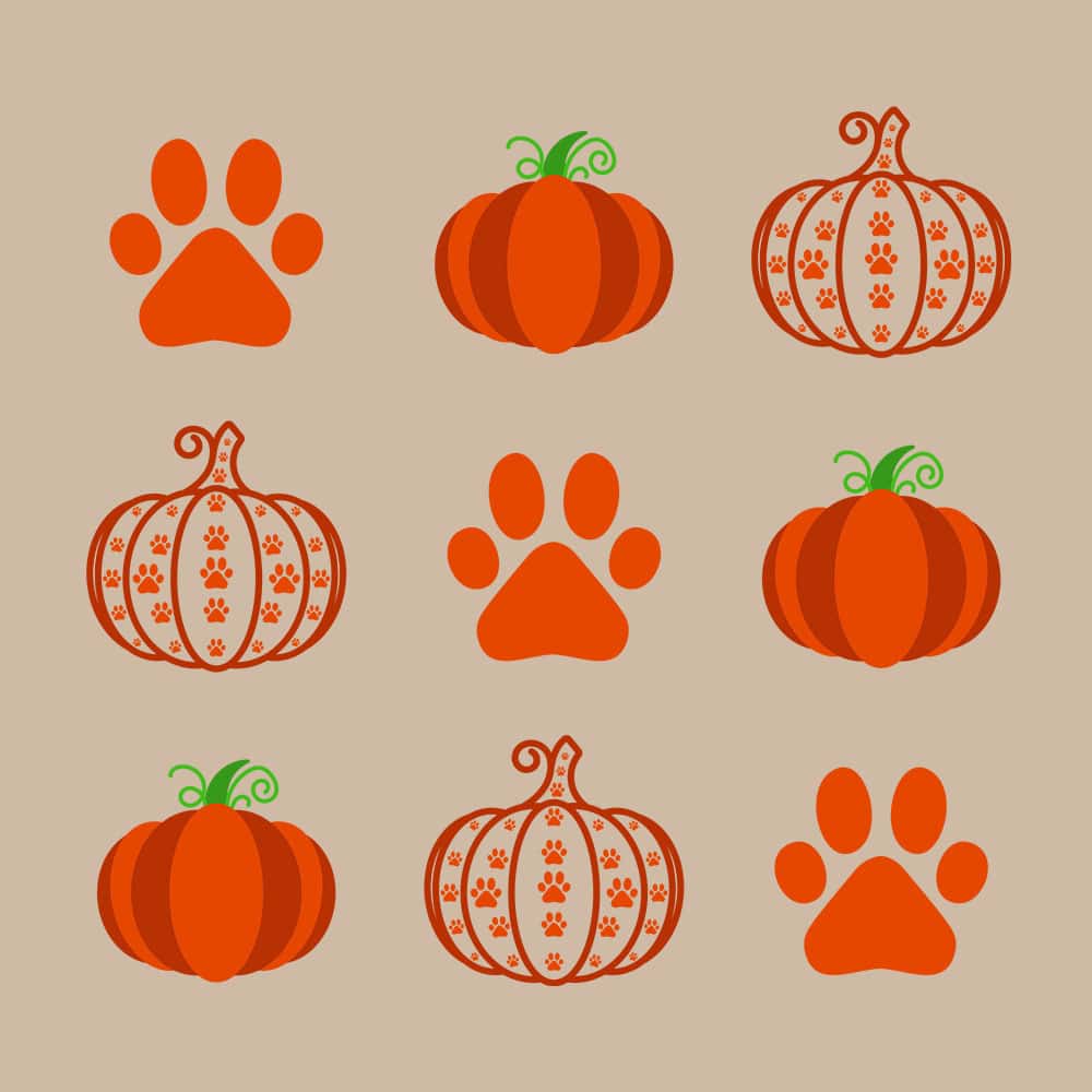 Secondary Product Image