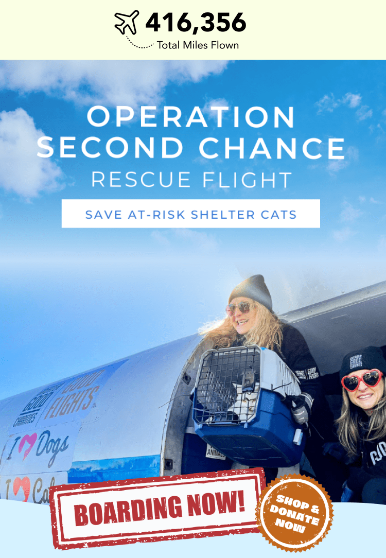 IHD Header - Mobile-min