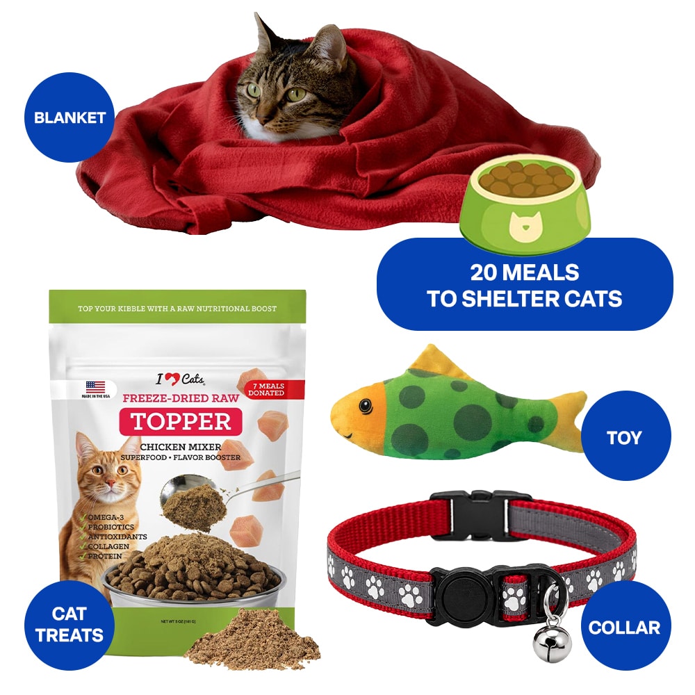 Send a Cat Rescue a Paws for Freedom Care Package