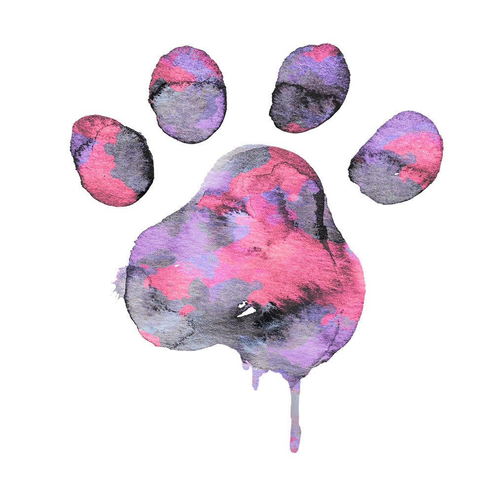 Secondary Product Image