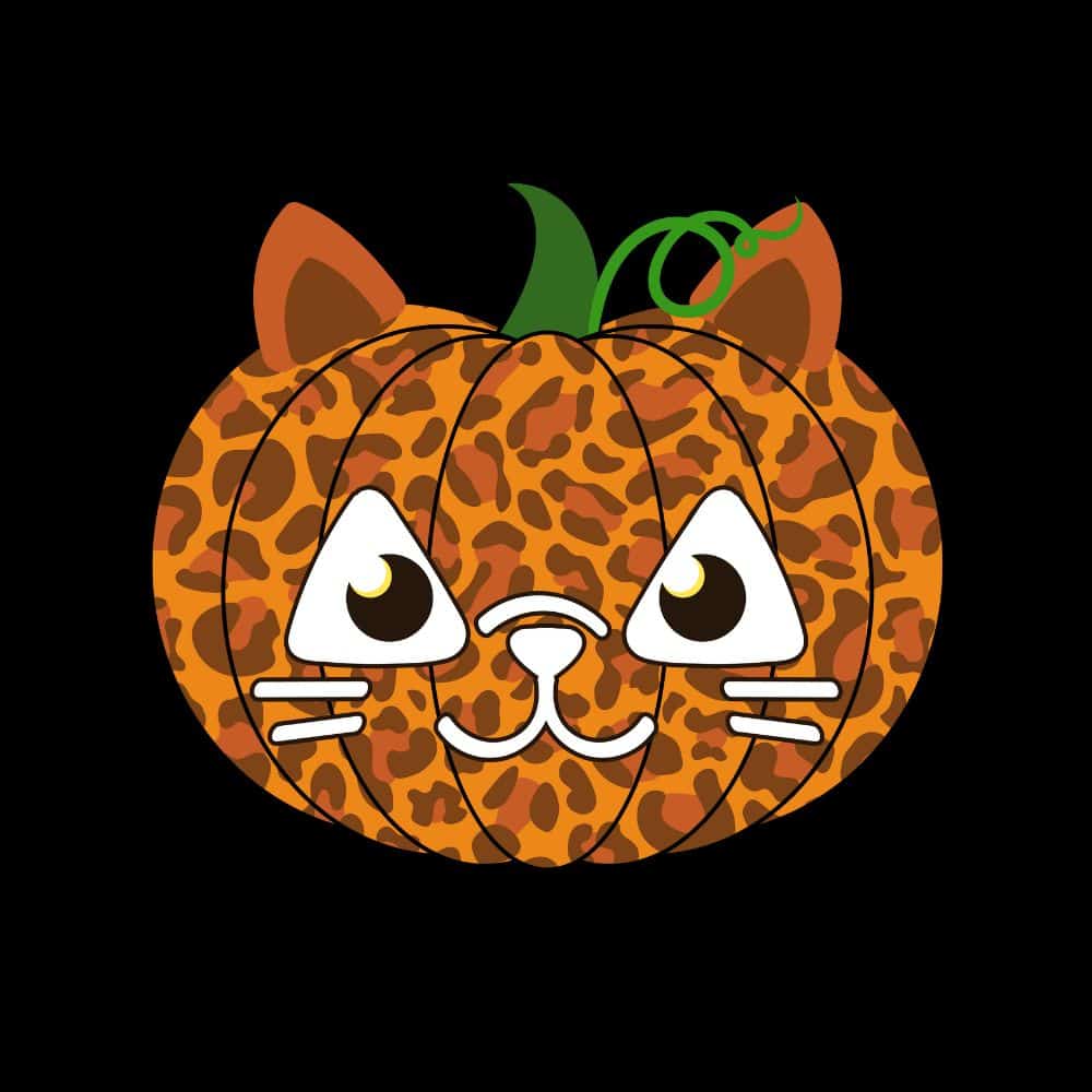 Secondary Product Image