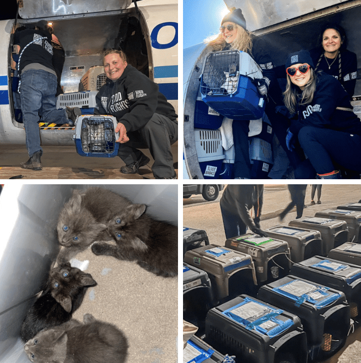 Untitled design (12)