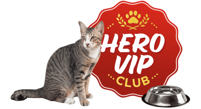 Untitled design (16) Untitled design (16)