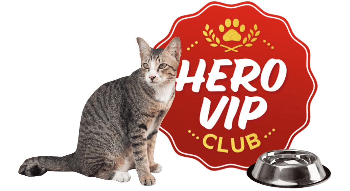 Untitled design (16)