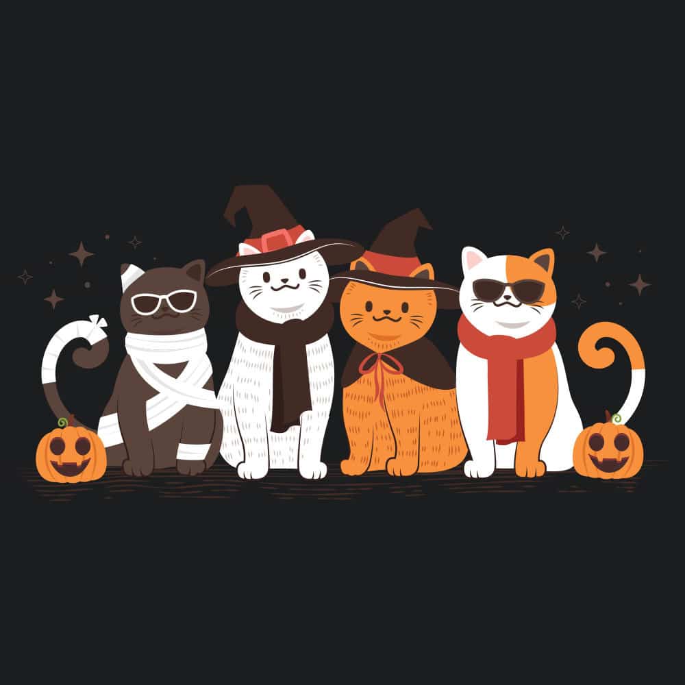 Secondary Product Image