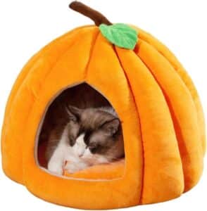 Cat Beds for Indoor Cats