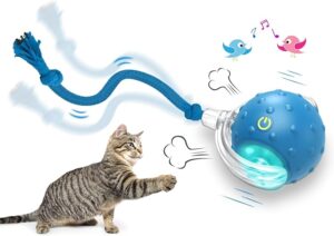 Interactive Cat Toys Ball for Indoor