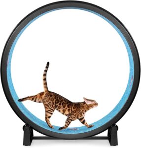 One Fast Cat - Cat Exercise Wheel