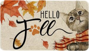 Roszwtit Hello Fall Door Mat 