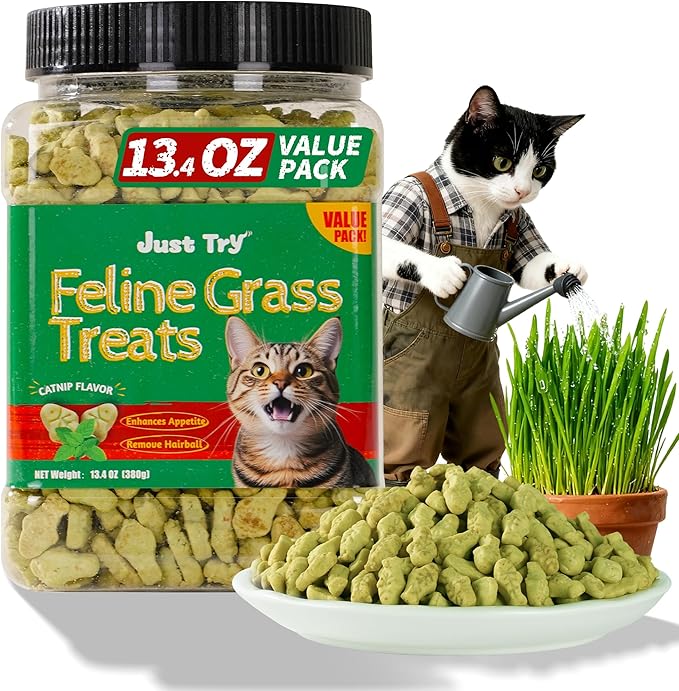 Just Try 13.4 OZ Cat Treats for Indoor Cats Hairball Control Natural Salmon Healthy Cat Grass Treats Kitten Snacks Training Biscuits Catnip for Cats Dental Care