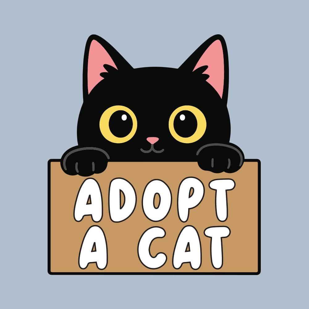 Secondary Product Image