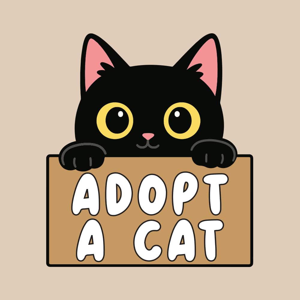 Secondary Product Image