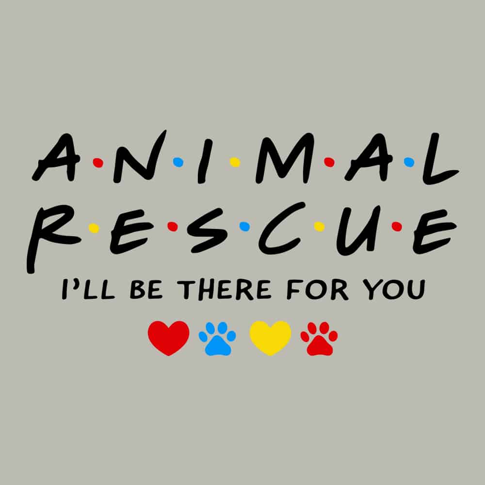 Secondary Product Image