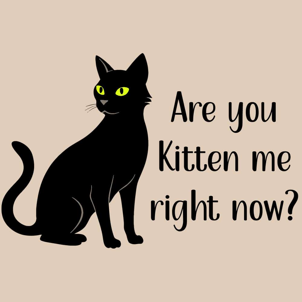 Secondary Product Image