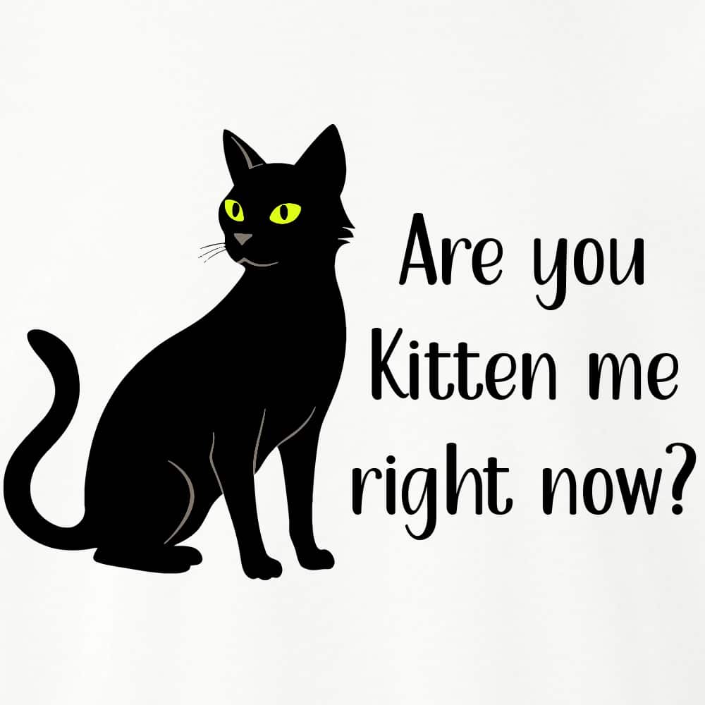 Secondary Product Image