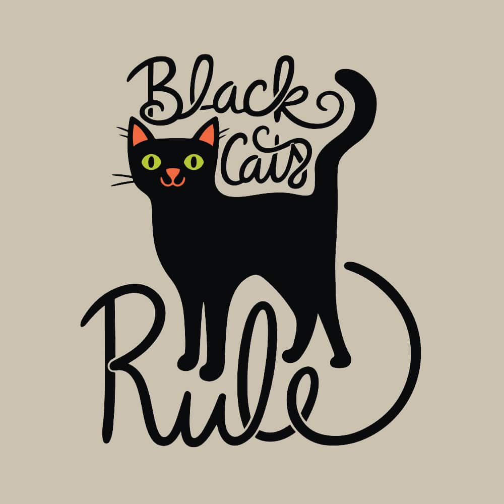 Secondary Product Image