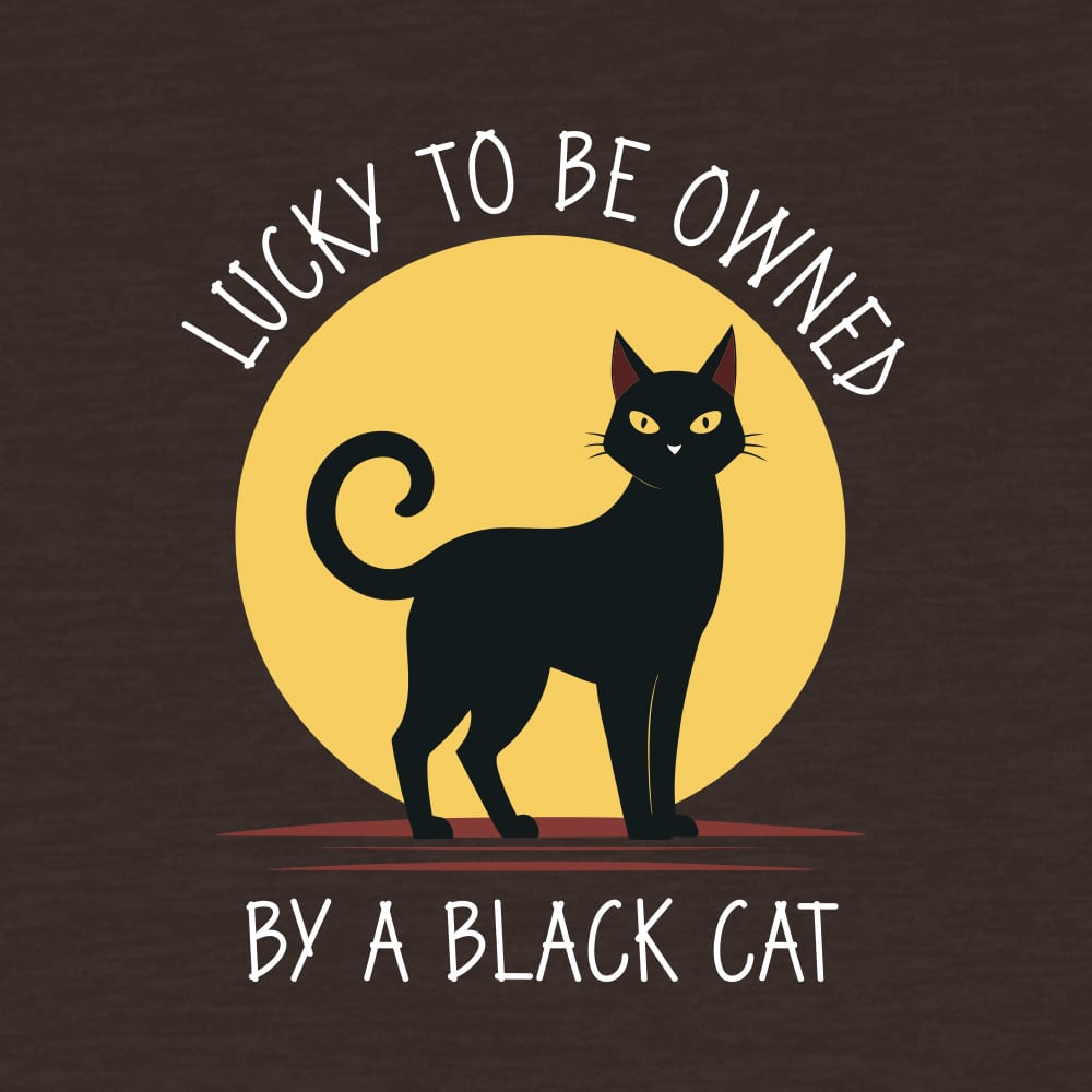 Secondary Product Image