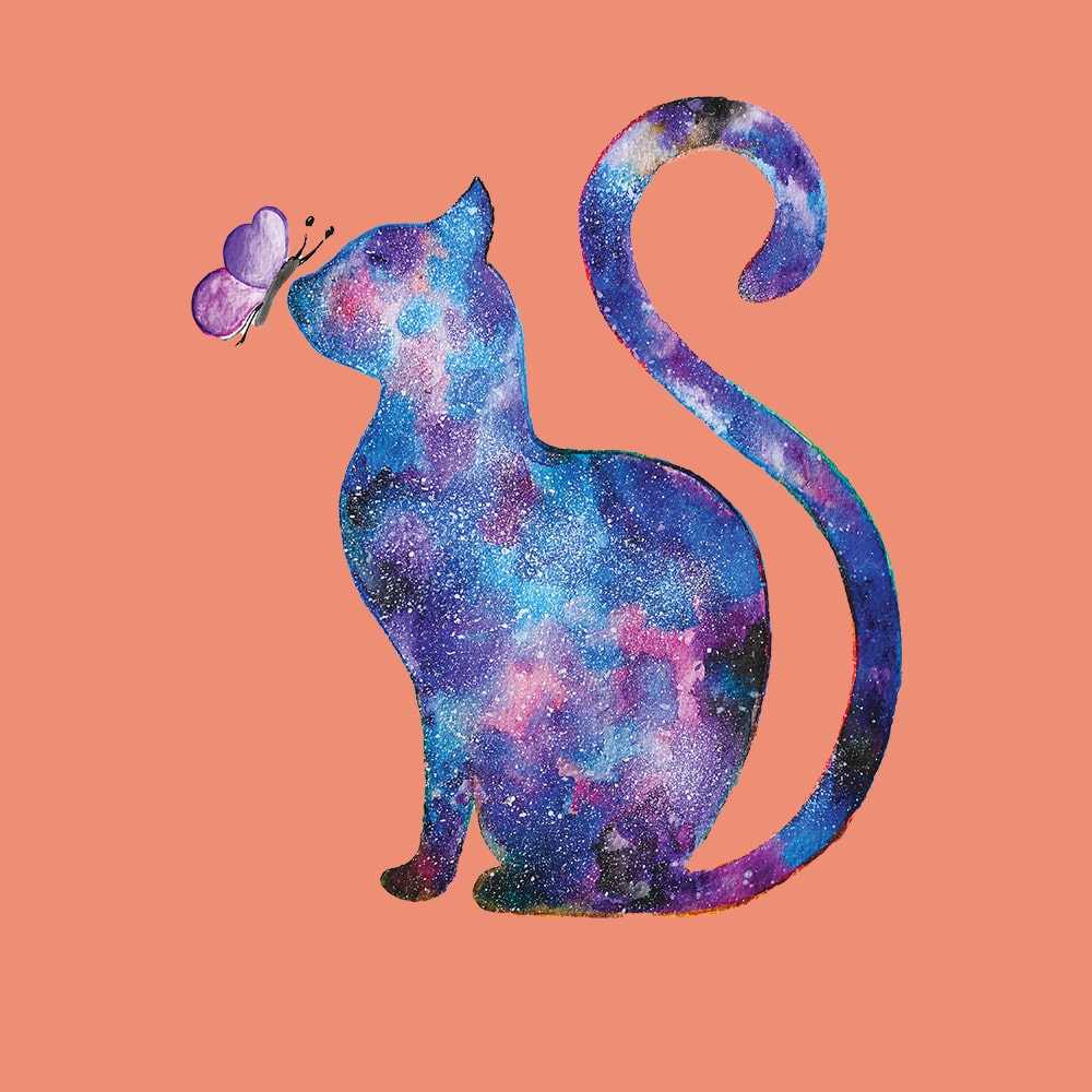 Secondary Product Image