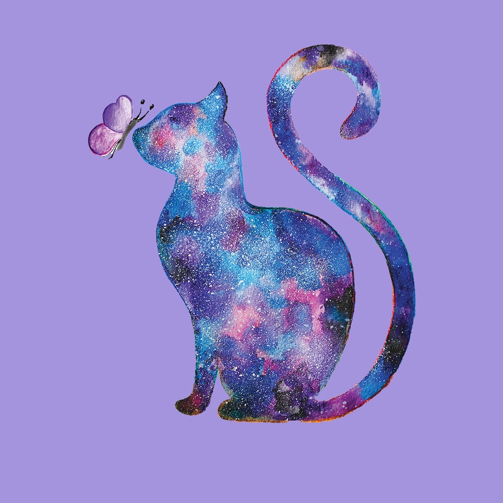 Secondary Product Image