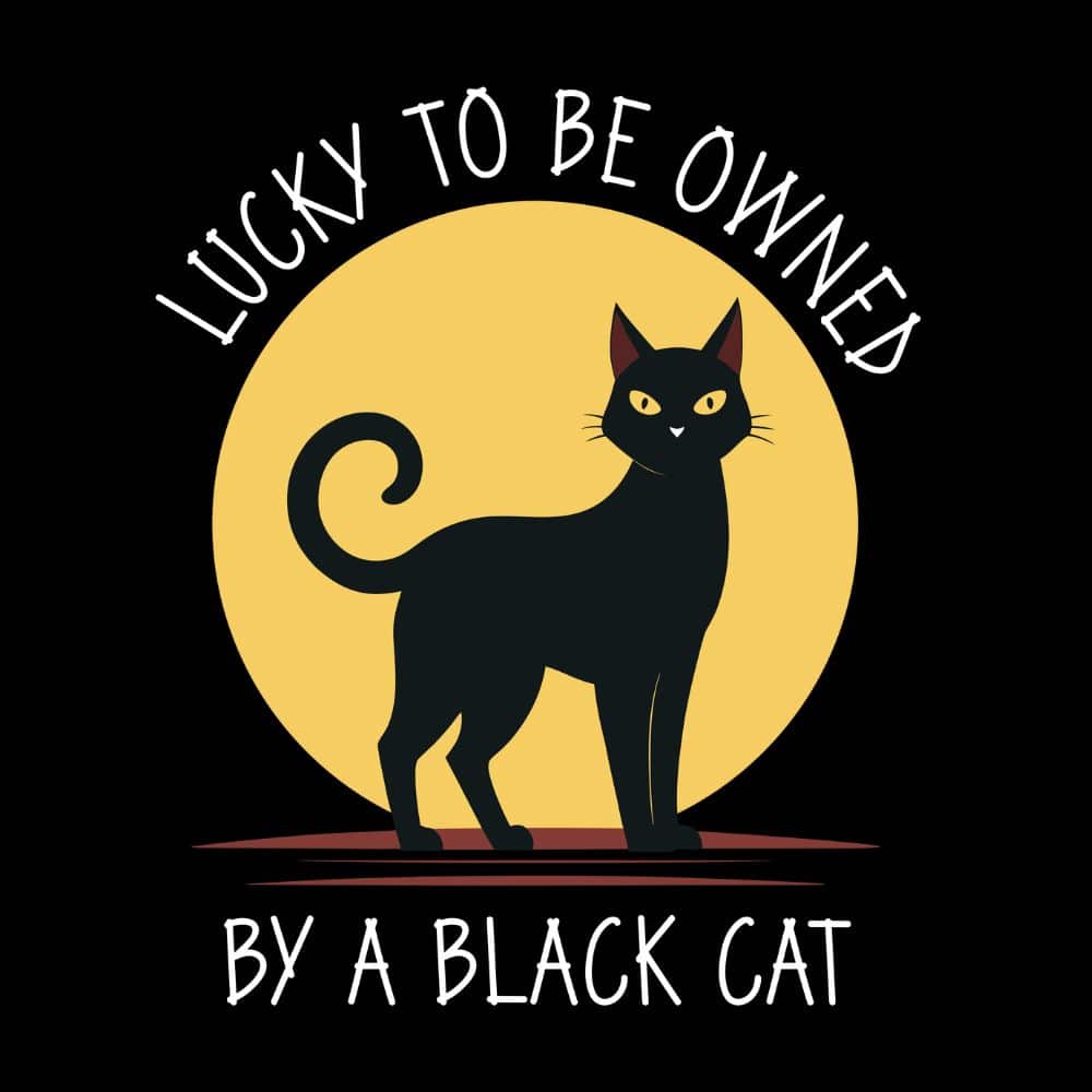 Secondary Product Image