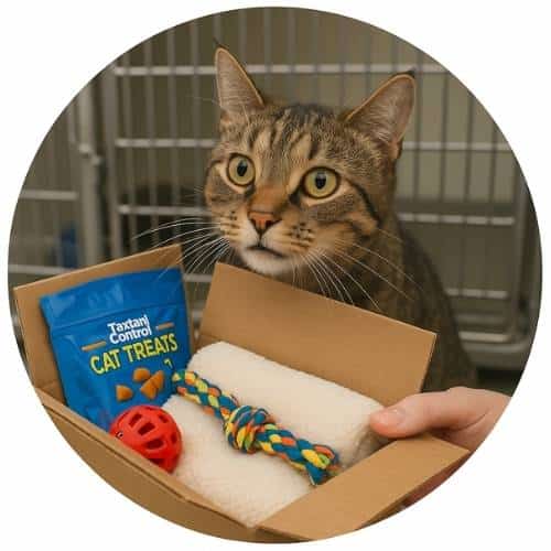 Care Packs for Shelter Cats Products