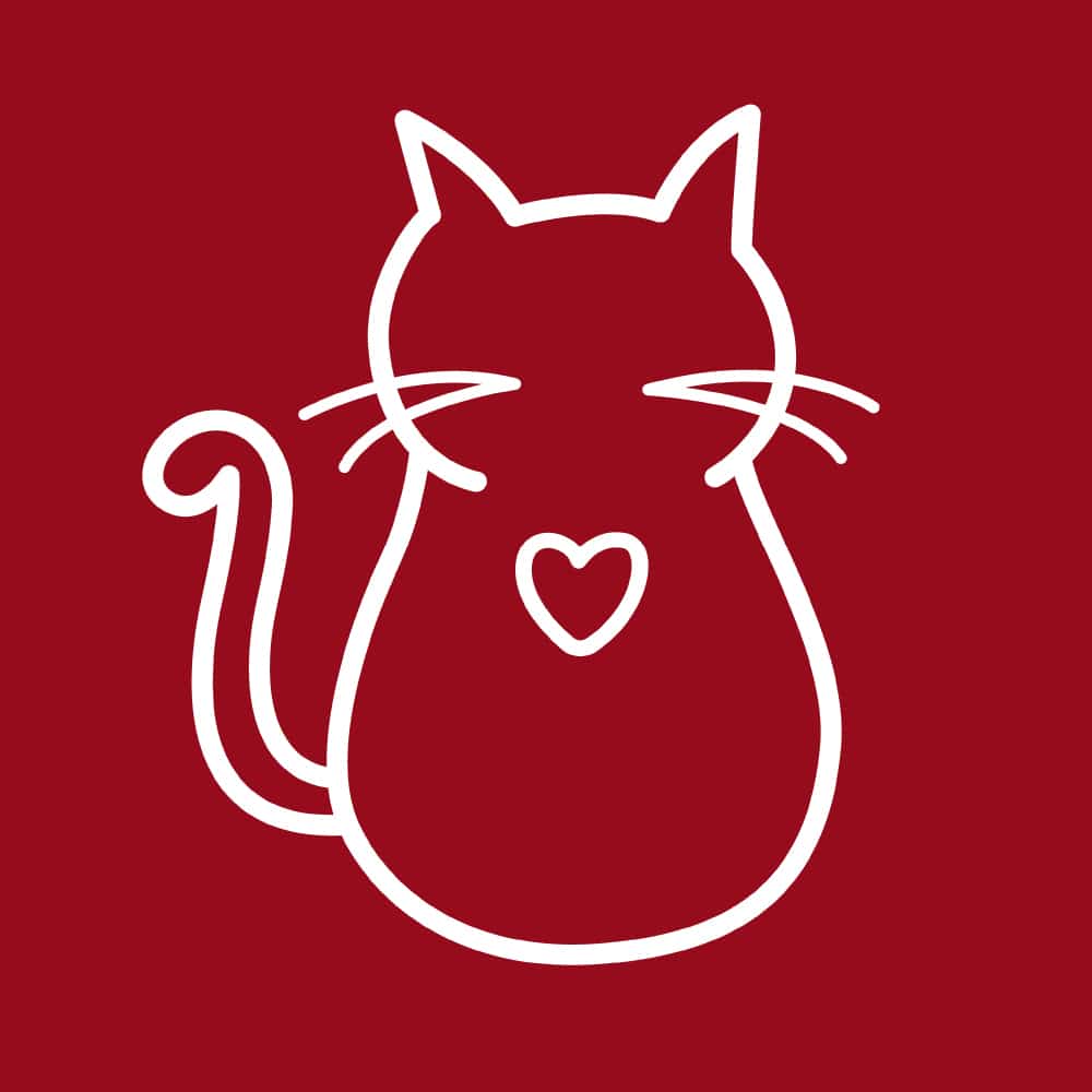 Secondary Product Image