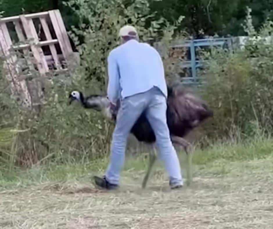 Alesja smiling next to emu