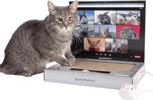 ScratchPad Pro — Cardboard Laptop Cat Scratcher
