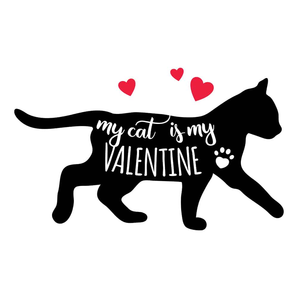Fund 20 Meals for $15.00 and Get A Free - My Cat is My Valentine Walking Pretty Standard Tee White - Image 2