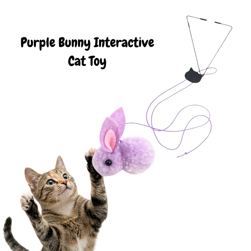 Secondary Product Image