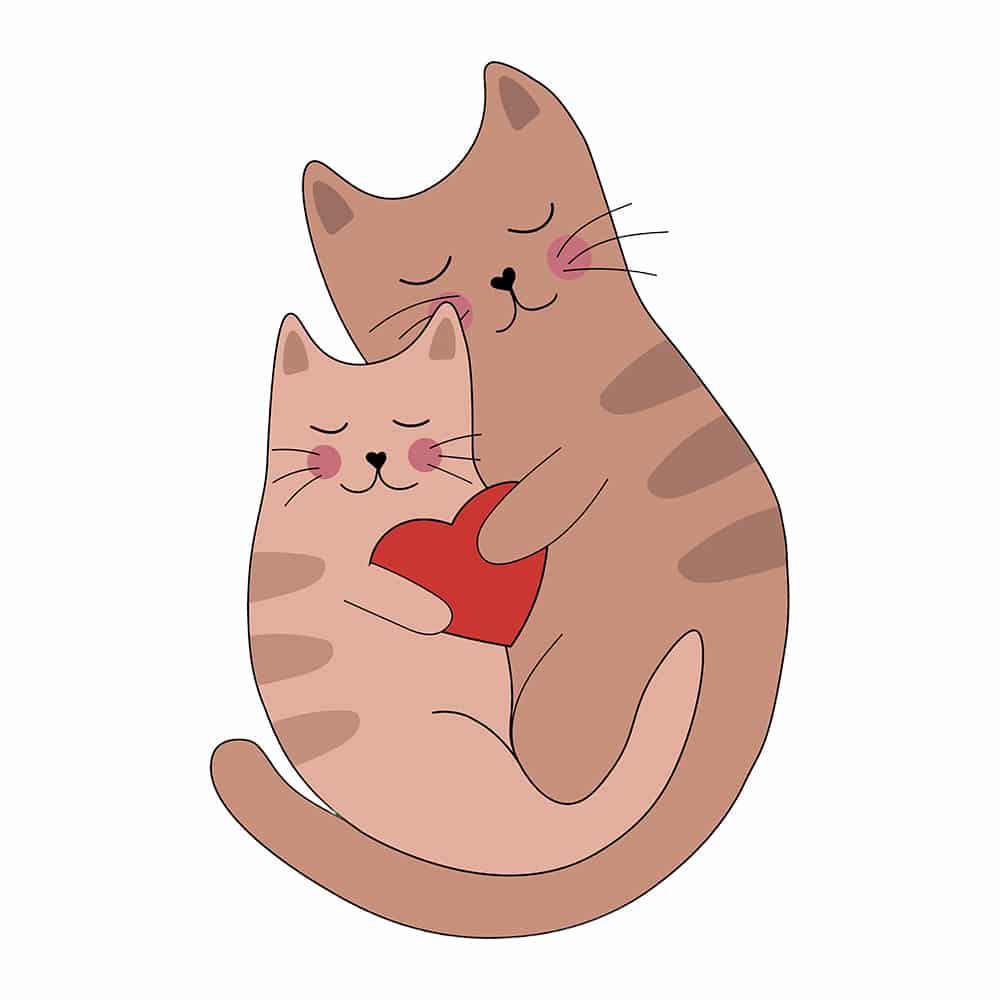 Secondary Product Image