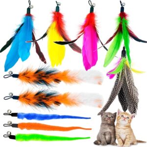Cat Feather Toys Refills