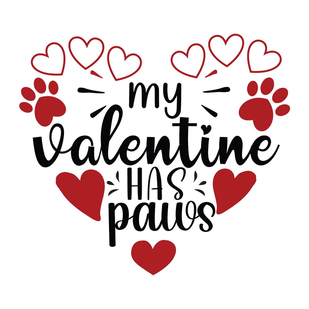 Secondary Product Image