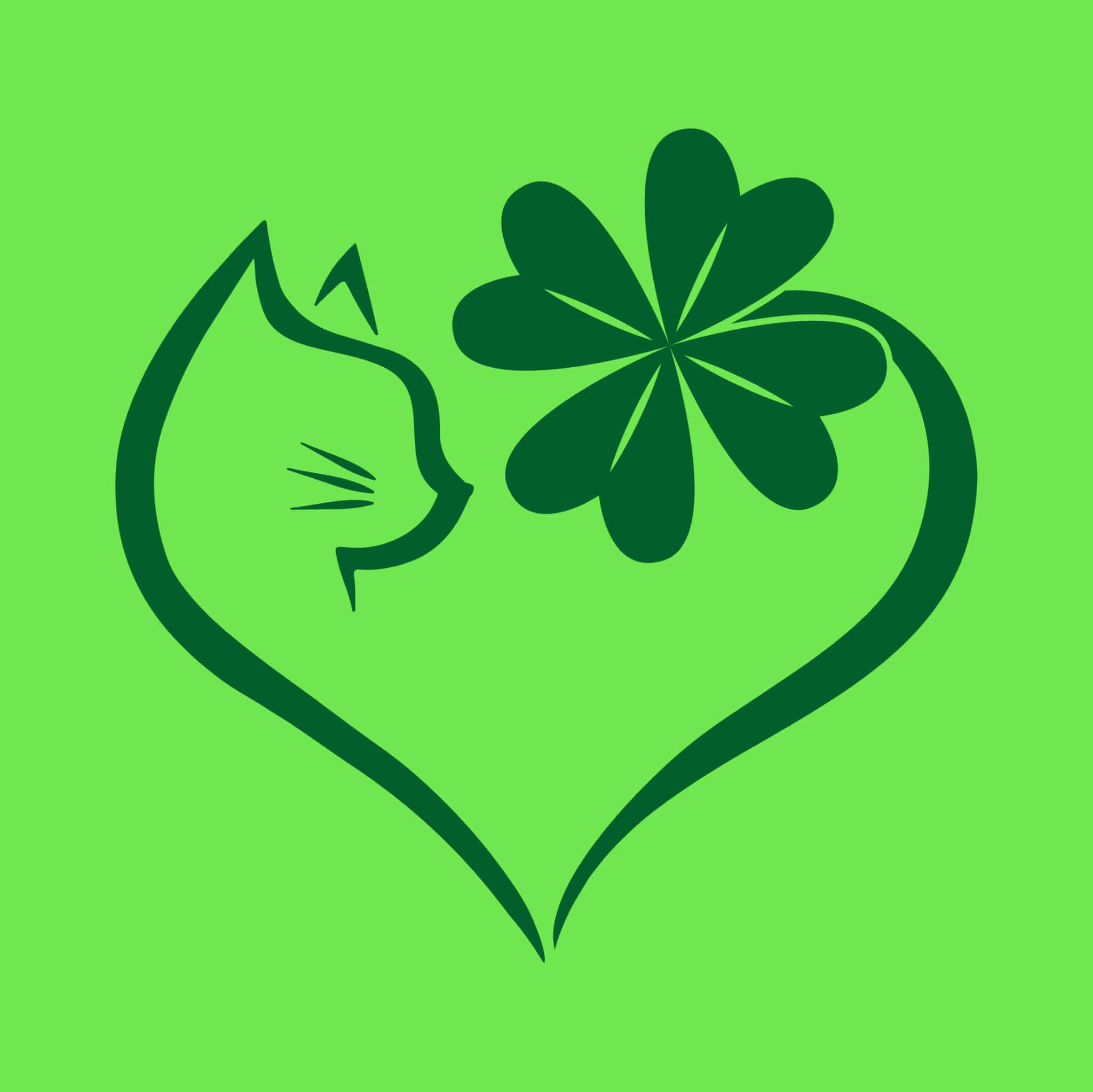 Secondary Product Image