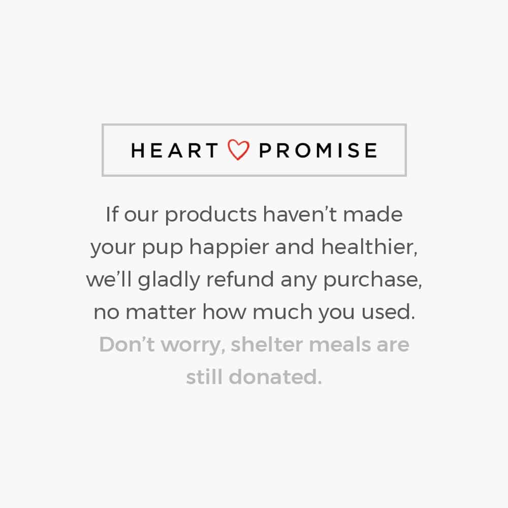 Fund 20 Meals for $15.00 and Get A Free - My Cat is My Valentine Walking Pretty Standard Tee White - Image 4