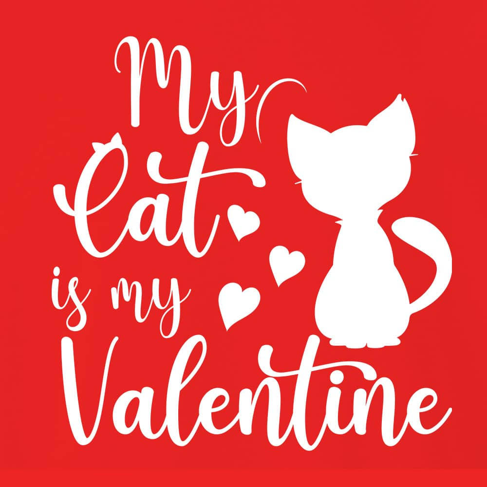 Secondary Product Image